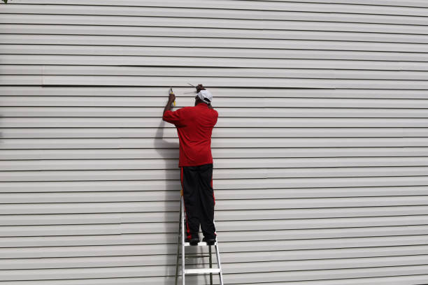 Affordable Siding Repair and Maintenance Services in #City